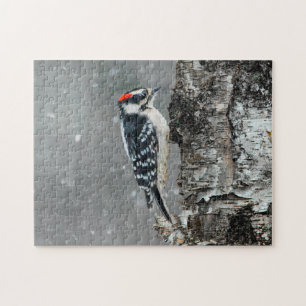 Puzzle Pic Downy en neige - Photo originale