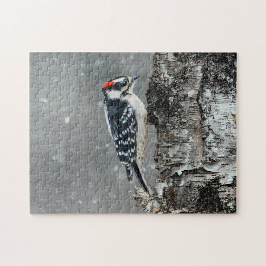 Puzzle Pic Downy en neige - Photo originale (Horizontal)