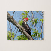 Puzzle Pic pilé (Horizontal)