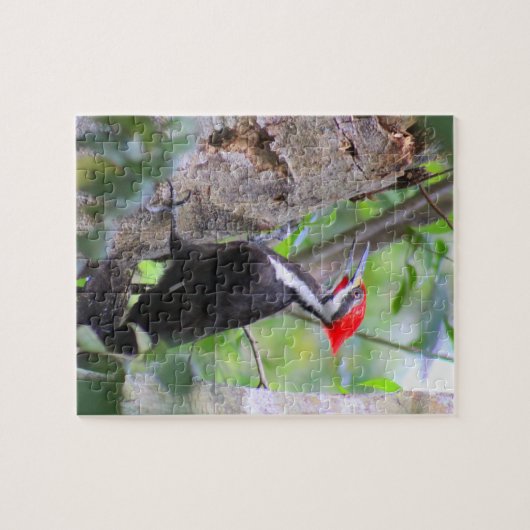 Puzzle Pic Pilé (Horizontal)