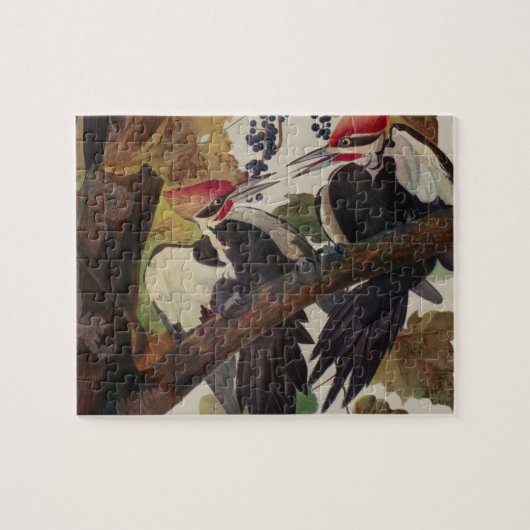 Puzzle Pic Pilé Audubon Oiseau Faune Peinture (Horizontal)