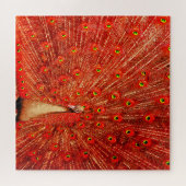 Puzzle Pic Rouge Disposant De Ses Plumes Rouges, (Horizontal)