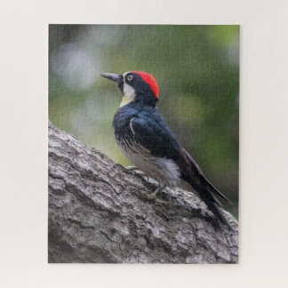 Puzzle Picat Artémise | Art de la faune forestière