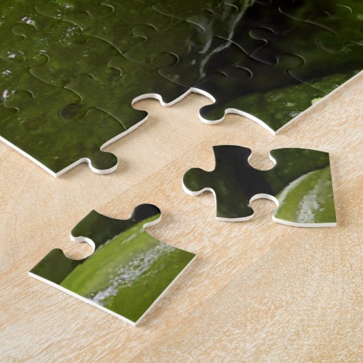 Puzzle Pickles Impossible Super Difficile Facile Fodie (Côté)
