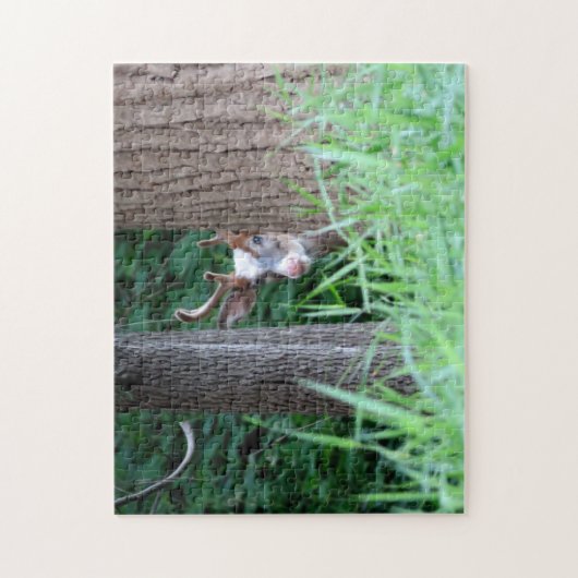 Puzzle Piebald (Vertical)