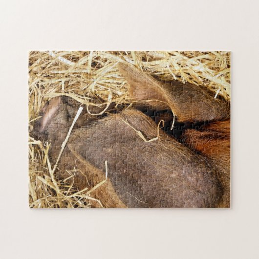 PUZZLE PIÈCES (Horizontal)