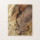 PUZZLE PIÈCES (Vertical)