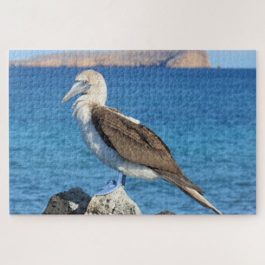 Puzzle pied bleu (Horizontal)