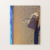 Puzzle Pierres errantes Vallée de la Mort. (Vertical)