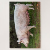 Puzzle Pig Teats Drôle Photo (Vertical)