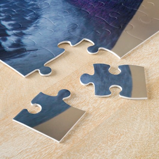 Puzzle Pigeon (Côté)