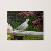 Puzzle Pigeon (Horizontal)