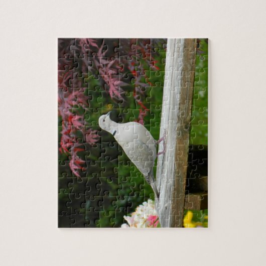 Puzzle Pigeon (Vertical)