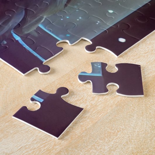 Puzzle Pigeon  (Côté)