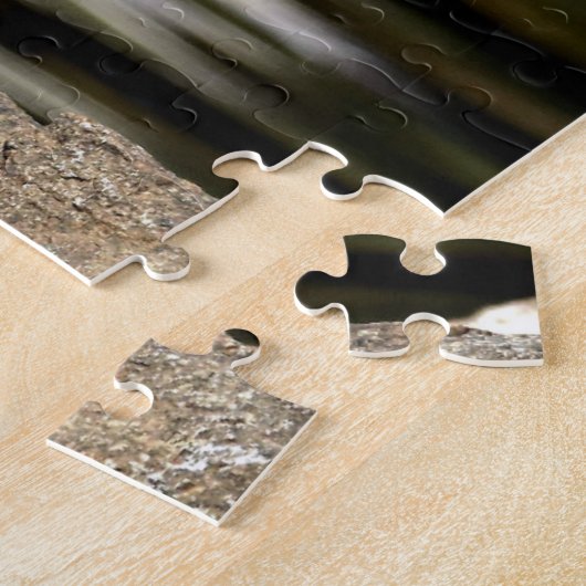 Puzzle Pigeon (Côté)