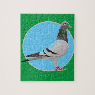 puzzle pigeon design.