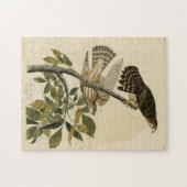 Puzzle Pigeon Hawk (Merlin) - Audubon's Birds of America (Horizontal)