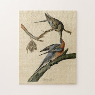 Puzzle Pigeon voyageur des oiseaux d'Amérique d'Audubon