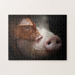 Puzzle Piggies d'affection Photos d'animaux de ferme