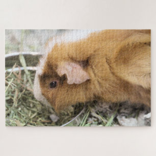 Puzzle Piggy