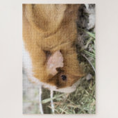 Puzzle Piggy (Vertical)
