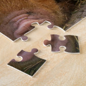 Puzzle Piglets KuneKune (Côté)