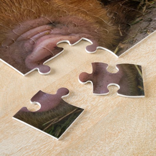 Puzzle Piglets KuneKune (Côté)