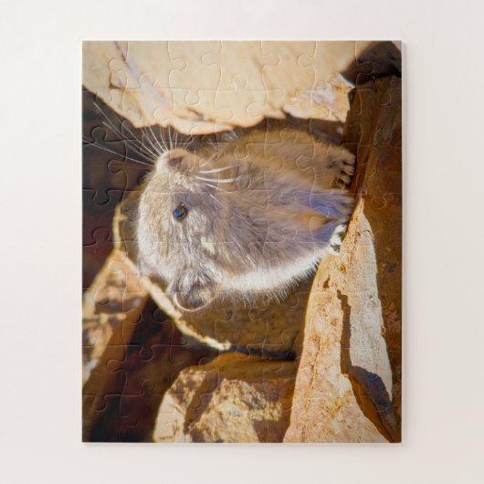 Puzzle Pika (Vertical)