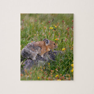Puzzle pika