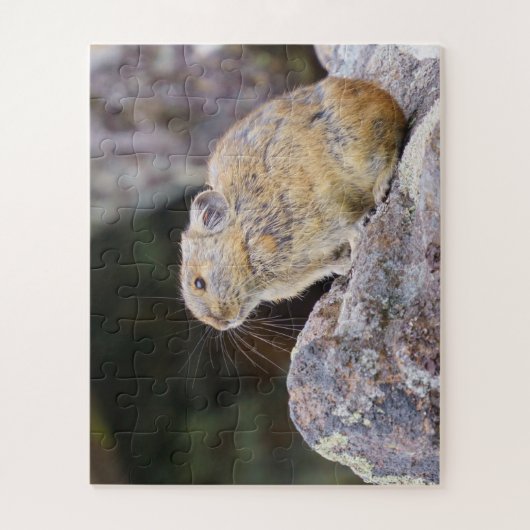 Puzzle Pika (Vertical)