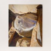 Puzzle Pika (Vertical)