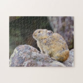 Puzzle Pika (Horizontal)