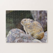 Pika