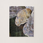 Puzzle Pika (Vertical)