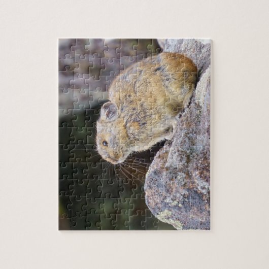 Puzzle Pika (Vertical)