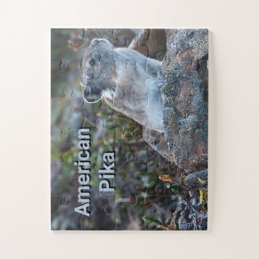 Puzzle Pika américaine cachée dans les rochers (Vertical)