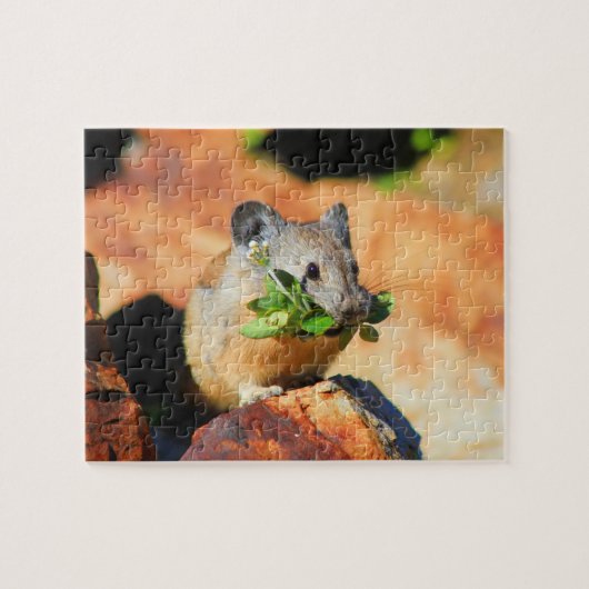 Puzzle Pika Cheval Sur Plantes (Horizontal)