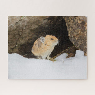 Puzzle Pika En Neige