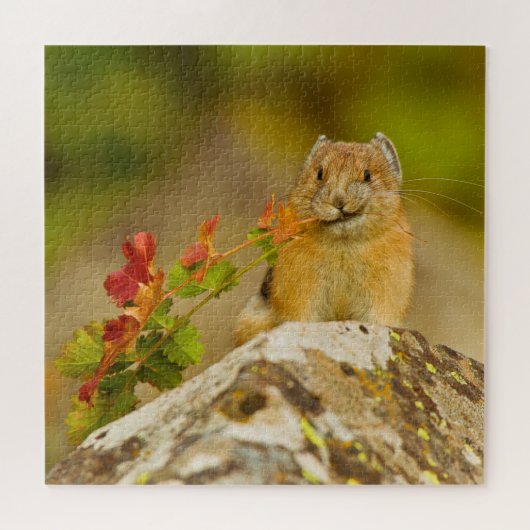 Puzzle Pika Tenant Des Feuilles Dans La Bouche (Horizontal)