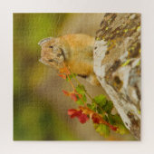 Puzzle Pika Tenant Des Feuilles Dans La Bouche (Vertical)