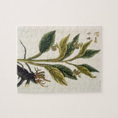 Puzzle Piments rouges (gravure de couleur) (Horizontal)