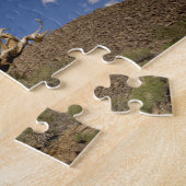 Puzzle Pin Bristlecone dans l'Ancient Bristlecone Forest, (Côté)