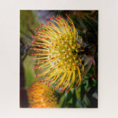 Puzzle Pin Cushion Protea Flowers sur Maui (Vertical)