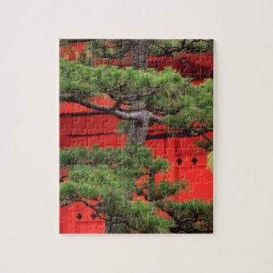 Puzzle Pin de bonsaï