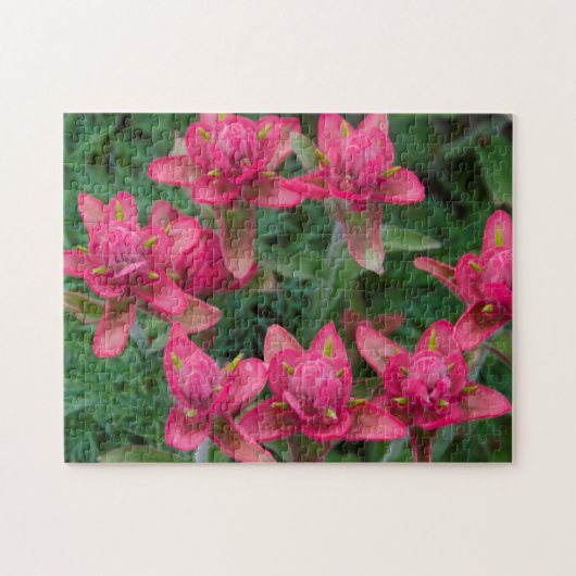 Puzzle Pinceau Indien (Horizontal)
