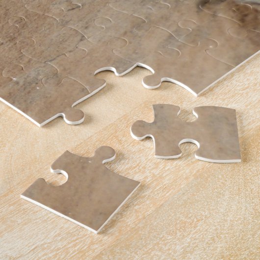 Puzzle Pinceau indien en roche à Sion (Côté)