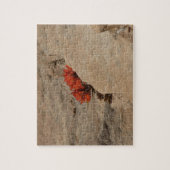 Puzzle Pinceau indien en roche à Sion (Vertical)