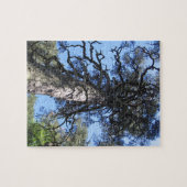 Puzzle Pine Tree in Blue Sky, Palanga, LITUANIE - (Horizontal)
