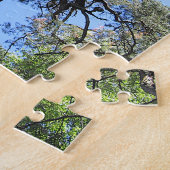Puzzle Pine Tree in Blue Sky, Palanga, LITUANIE - (Côté)