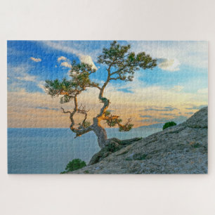Puzzle Pine Tree On Rocks Nature Paysage Océan Coucher de